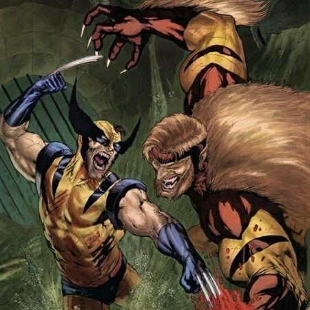 Sabretooth vs Wolverine